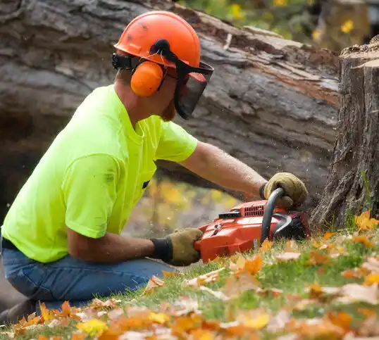 tree services Walthill